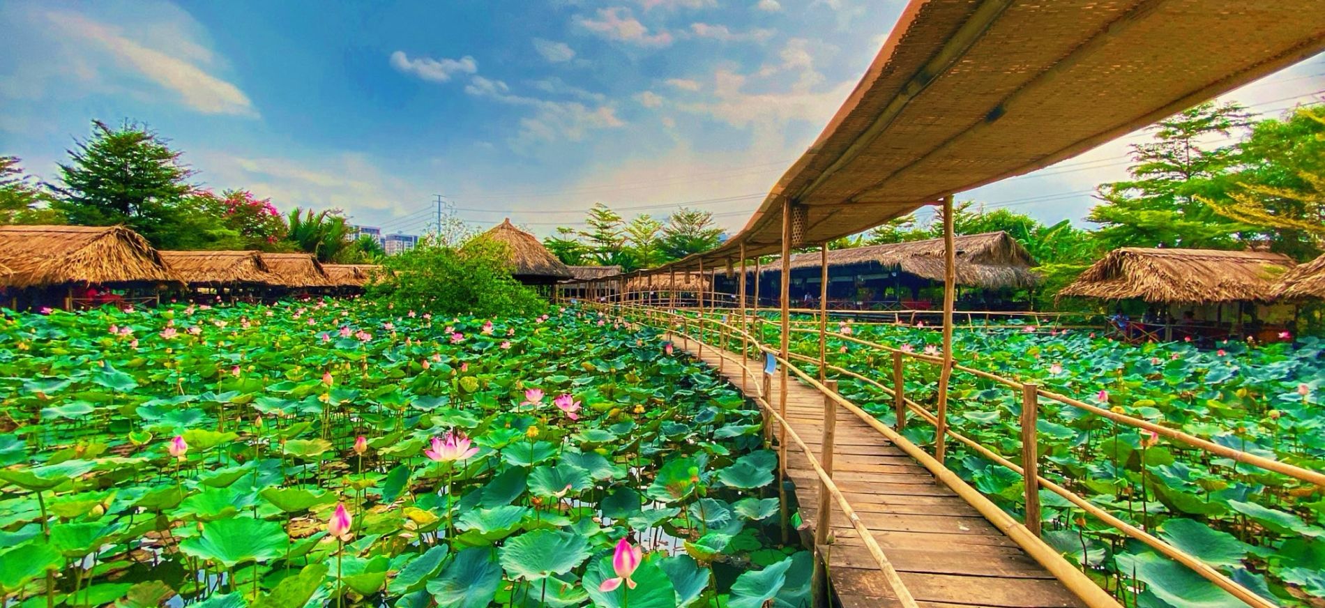 12 Khu du lịch sinh thái ở TPHCM lý tưởng cho ngày cuối tuần – VinWonders